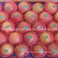 Good Quality Chinese Fresh Qinguan Apple